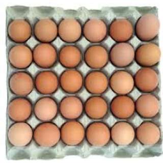 Eggs 30's/Tray A (Jan)