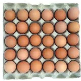 Eggs 30's/Tray A (Feb)
